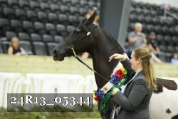 24R13_05344 thumbnail