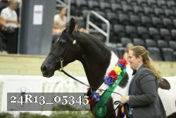 24R13_05345 thumbnail