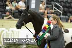 24R13_05346 thumbnail