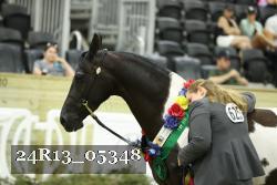 24R13_05348 thumbnail