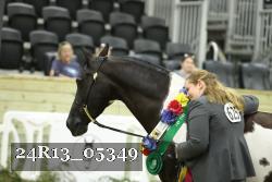 24R13_05349 thumbnail