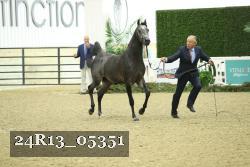 24R13_05351 thumbnail