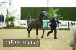 24R13_05352 thumbnail