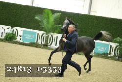 24R13_05353 thumbnail
