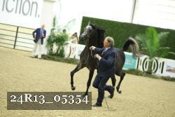 24R13_05354 thumbnail