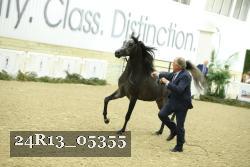 24R13_05355 thumbnail
