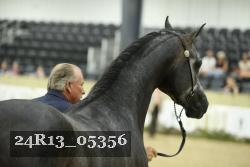 24R13_05356 thumbnail