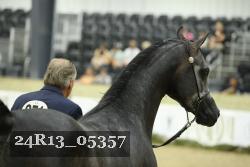 24R13_05357 thumbnail
