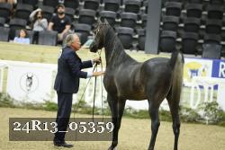 24R13_05359 thumbnail