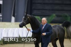 24R13_05360 thumbnail