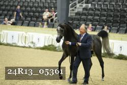 24R13_05361 thumbnail