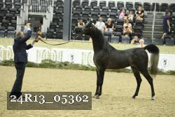 24R13_05362 thumbnail