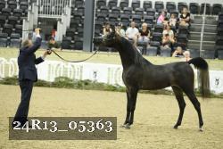 24R13_05363 thumbnail