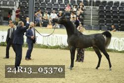 24R13_05370 thumbnail