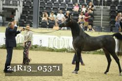 24R13_05371 thumbnail