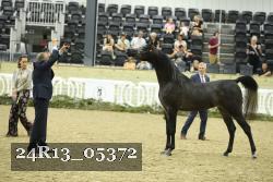 24R13_05372 thumbnail