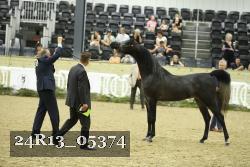24R13_05374 thumbnail