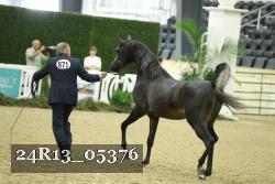 24R13_05376 thumbnail