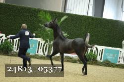 24R13_05377 thumbnail