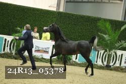 24R13_05378 thumbnail