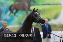 24R13_05380 thumbnail