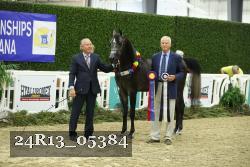 24R13_05384 thumbnail