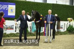 24R13_05385 thumbnail