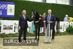 24R13_05386 thumbnail
