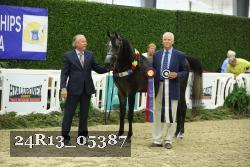 24R13_05387 thumbnail