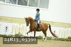 24R13_05390 thumbnail