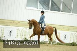 24R13_05391 thumbnail