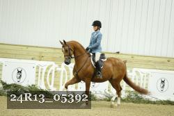 24R13_05392 thumbnail