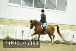 24R13_05393 thumbnail
