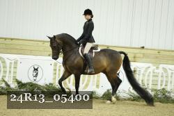 24R13_05400 thumbnail