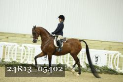 24R13_05402 thumbnail