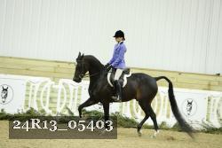 24R13_05403 thumbnail