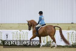 24R13_05409 thumbnail