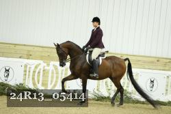 24R13_05414 thumbnail