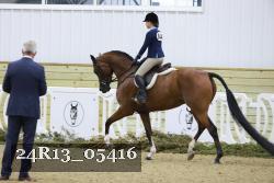 24R13_05416 thumbnail
