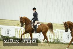 24R13_05421 thumbnail