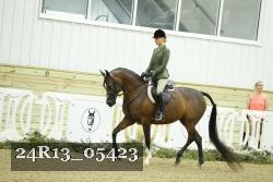 24R13_05423 thumbnail