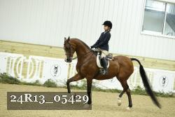 24R13_05429 thumbnail