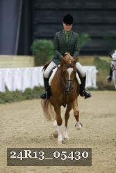 24R13_05430 thumbnail