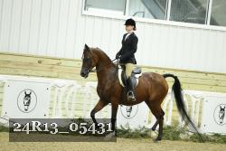 24R13_05431 thumbnail