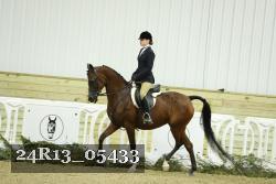 24R13_05433 thumbnail