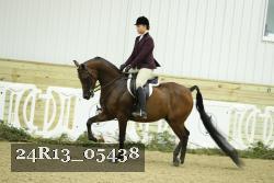 24R13_05438 thumbnail