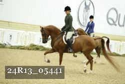 24R13_05441 thumbnail