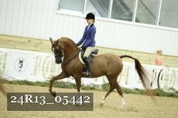 24R13_05442 thumbnail