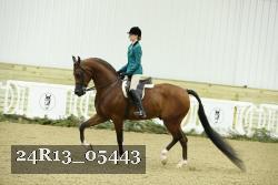 24R13_05443 thumbnail