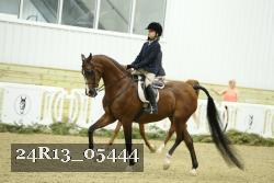 24R13_05444 thumbnail